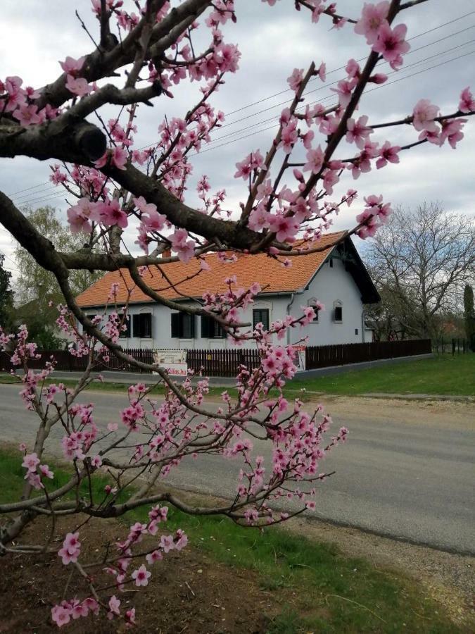 Hotel Szentgyoergyvoelgy Vendeghaz Orseg Szentgyorgyvolgy Exteriér fotografie